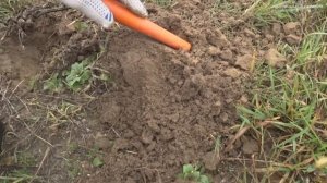 КУПИЛ ИНФОРМАЦИЮ! Еду искать ЗОЛОТО с металлодетектором! ШОК от НАЙДЕННОГО ЗОЛОТА!