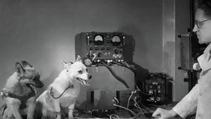 19 августа 1960 года с космодрома Байконур стартовал советский космический корабль "Восток"