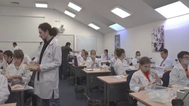 Тараканы-киборги 2 смотреть онлайн