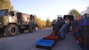 Как болота «кормят» местных жителей?