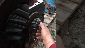 Гайка хвостовика вторичного вала КПП МТЗ-82