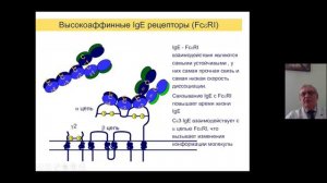 Этиология и патогенез_БЕК