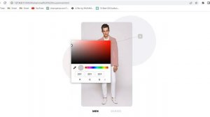 Fashion picker using HTML CSS AND JS