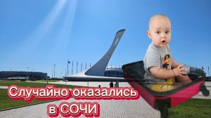 Сочи/Адлер, кафе Старик Хинкалыч/ Квартира в сезон за 5500р