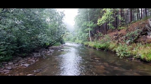 Куштумга. Форель ручьевая.