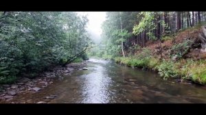 Куштумга. Форель ручьевая.