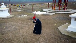 «Одинокий тополь» из Республики Калмыкия. «Европейское дерево года 2020»
