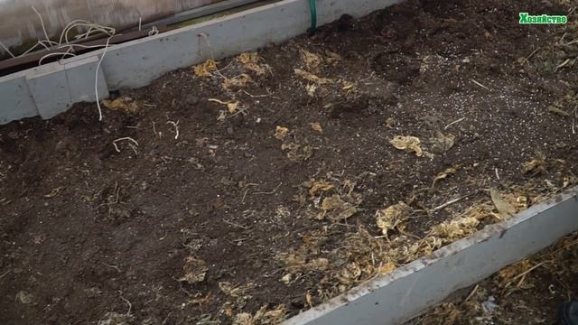 Как подготовить теплицу для большого урожая томатов и перца?! смотреть онлайн