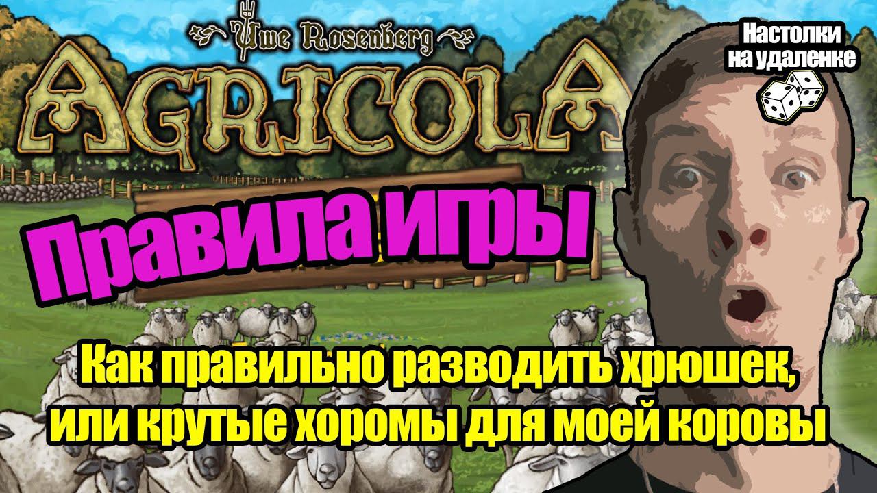 Играем в настольную игру Agricola. Настольные игры для пк. Настолки на удаленке.