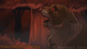 Коты-Воители: Звездолом – КОТ