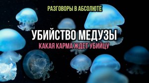 УБИЙСТВО МЕДУЗЫ: КАКАЯ КАРМА ЖДЕТ УБИЙЦУ