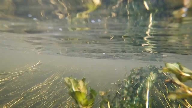 Сплав по реке Оредеж смотреть онлайн