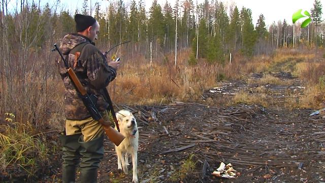 С полем! "За лосем с лайками" часть 1