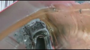 Антикорр очень ржавого Шевроле Круз 2011 г.