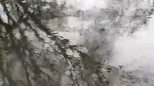 Поплавок ранней весной, ловля рыбы болонской удочкой 2019 ,