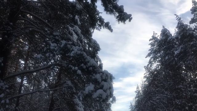 НЕ ДЕЛАЙТЕ ОШИБКИ ПРИ РЕГИСТРАЦИЯ БРАКА В ЗАГСЕ/ НАРОДНЫЕ ТРАДИЦИИ и обряды смотреть онлайн