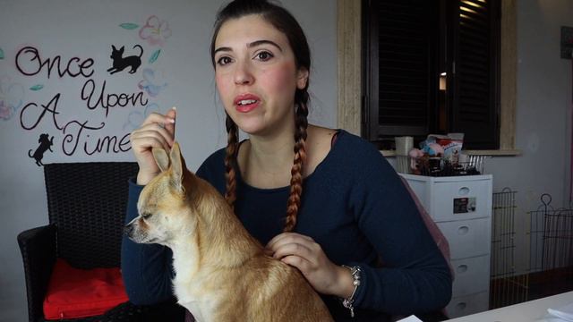 TUTORIAL COME APPLICARE I CEROTTI ALLE ORECCHIE DEI CUCCIOLI se non si alzano смотреть онлайн