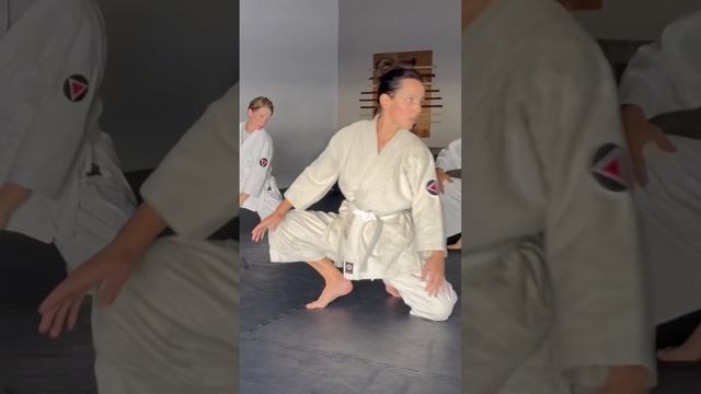 Aikido Ukemi Drills #martialfusion