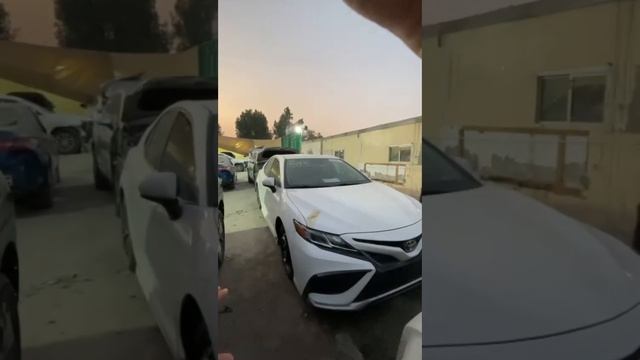 CAMRY 55 CAMRY SE АУКЦИОН ДУБАЙ КОНТАКТЫ +996700900080 АСКАР#camry смотреть онлайн