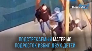 Взрослая женщина и мальчик-подросток избили двух детей