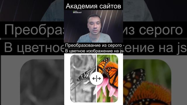 Преобразование картинки из черно-белого в цветное на JavaScript