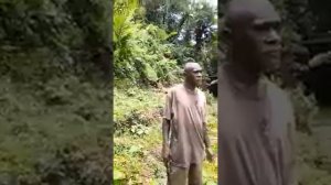 yaqona farmers (nawaivodo)