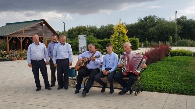 Надо мною лист кружиться(Друзья друзья) смотреть онлайн