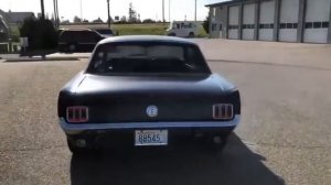 1969 Mustang killer crowd surfer Wrap Plastidip