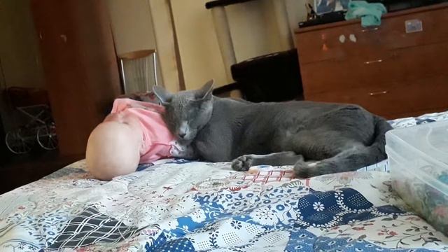 Как спит Квантик!!! смотреть онлайн