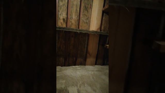 Утепление черного потолка и по бокам- 2. 14.06.2021г. смотреть онлайн