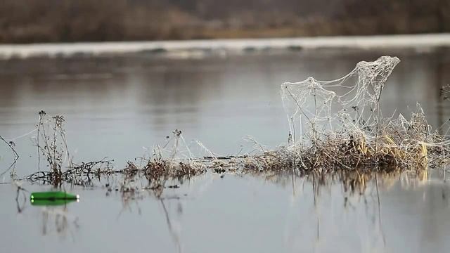 Я усталым таким ещё не был......