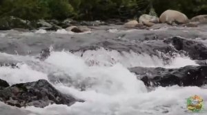 Кузнецкий Алатау видео зарисовки