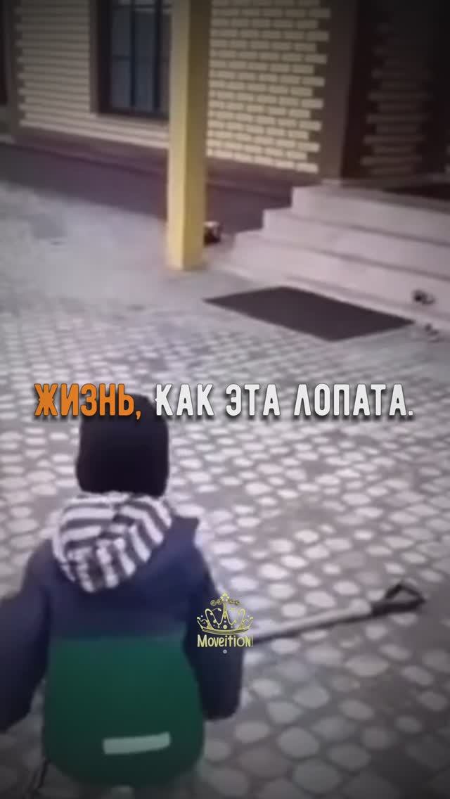 ?Правило Жизни! Взлёты и Падения?? #shorts #мотивациянауспех #цитатысосмыслом #сигмастатус