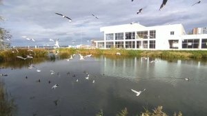 Поезд 012. Москва-Анапа. Джемете, Анапа в ноябре.