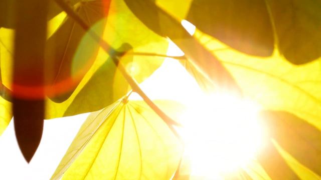 Поздравления С юбилеем смотреть онлайн