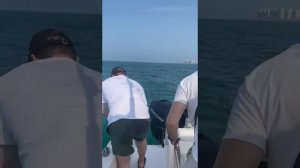 Вот так нужно ловить рыбу в UAE | Like this need to catch fish in UAE