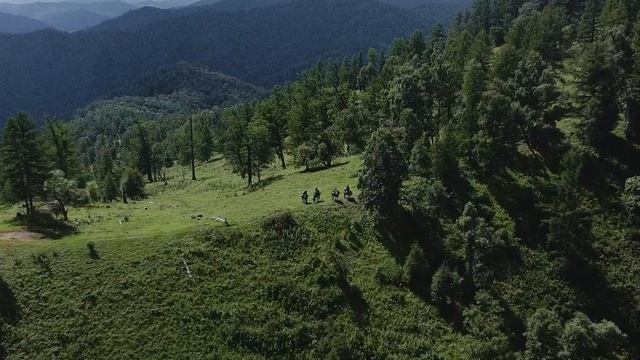 Конный поход по Алтаю. Конная база Иткая, Алтай Спиритс (Altai Spirits)