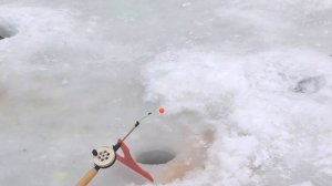 Зимние приманки для ловли форели на платнике