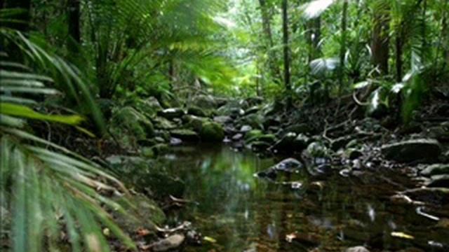 Chinese flute of relaxation 1of 7 смотреть онлайн