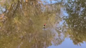 Конкурс на самого лучшего Рыболова ?