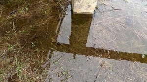 Капелька рыбалки на плотву