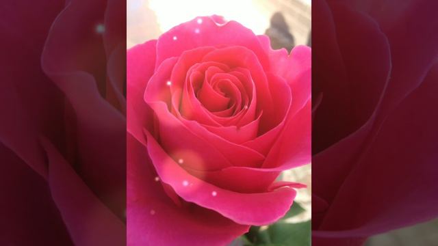 Настройки на Плазмы Агни по Часам. (возможность сделать заказ) смотреть онлайн