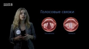 Значение дыхания. Органы дыхательной системы. Урок 18. Биология 8 класс