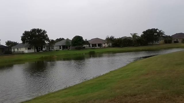 Лена Хеппи. Вот оно ДНО. Начало потрахушек. смотреть онлайн