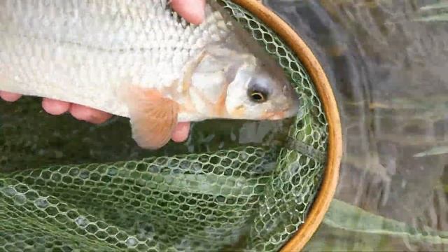 Рыба моей мечты. Здоровенный ПОДУСТ! смотреть онлайн