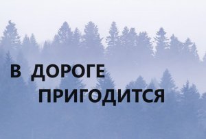 Клатч для документов.Витражи.(2023г)