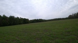 Открытие ОХОТЫ на САМЦА КОСУЛИ ! Лось 145 и видео с НОВОГО ПРИЦЕЛА PARD DS35-70 LRF(днём и ночью)!!