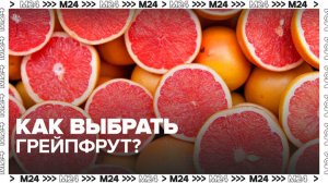 Эксперты рассказали, как выбрать грейпфрут - Москва 24