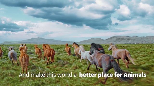 World Animal Day | Lets Celebrate the Beauty of the Animal Kingdom