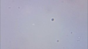 Капля воды из водопровода